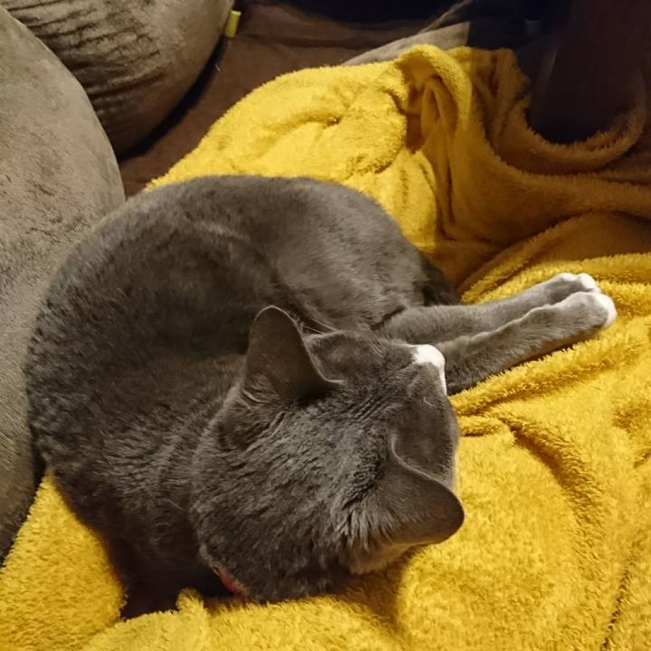 684964cb 19a1 4266 825f 32ff56181411