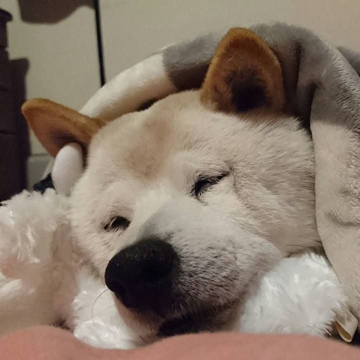 684a4126 cd00 4af0 9f47 d6c80dae8b56