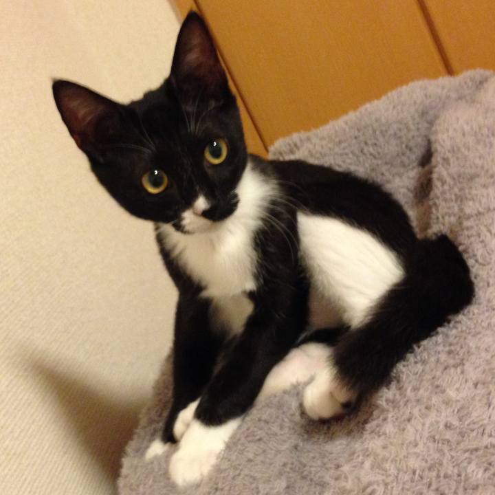 684a723f 89a7 434c 8ea3 89058a65aecb