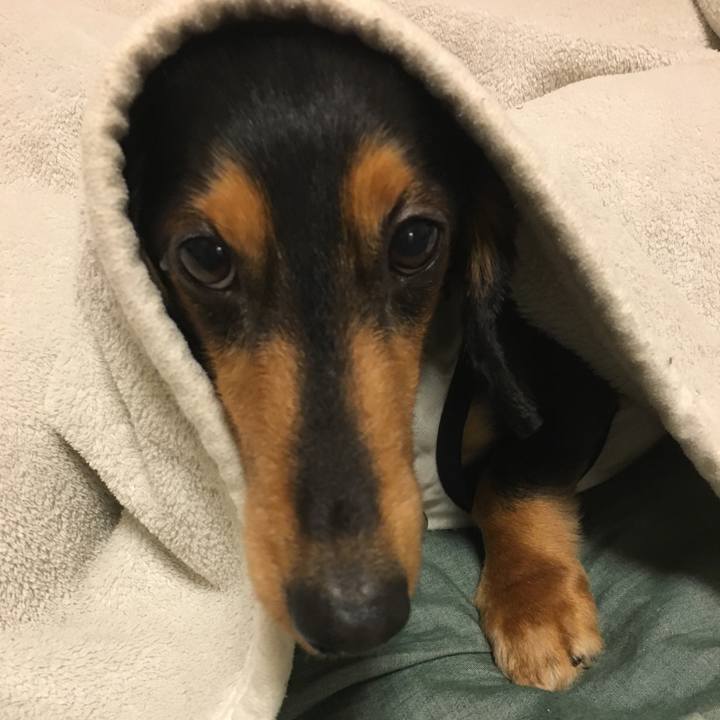 684c40cc 3a61 493e 8828 b3ee77f3d17c