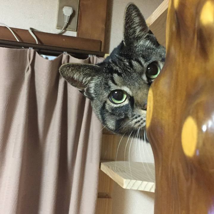 684c68d0 4ad7 4f66 970f 56397e030390