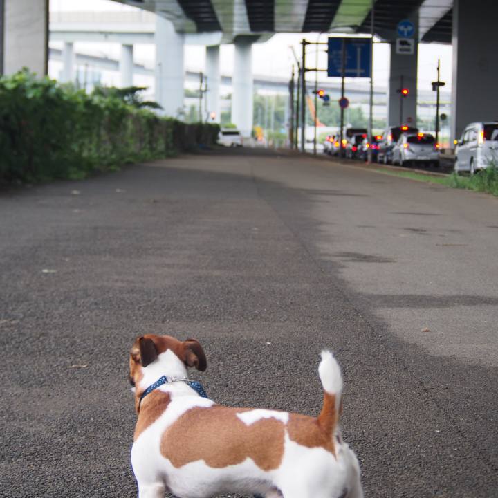 684ccec5 547e 4a28 ac29 b3fac1449e65