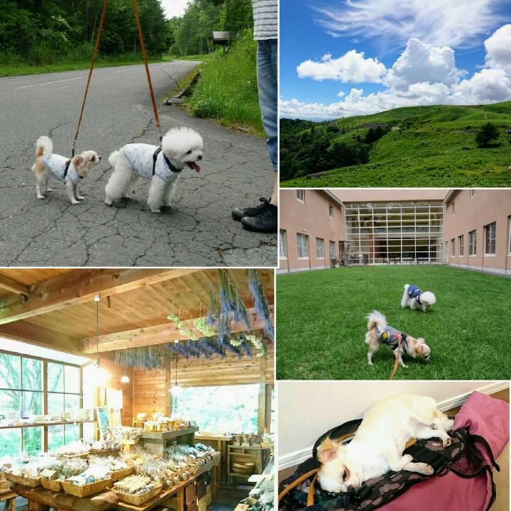 684d11c5 807b 4f65 a813 10a55accf1cd