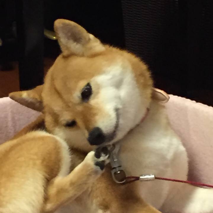 684d9a5d 622f 422d aeb2 f28795efafa4