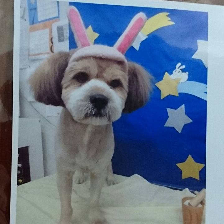 684df091 2f3b 42fb 9fdf 3d21ff362a38