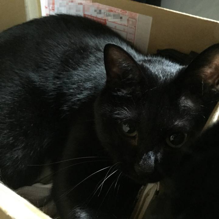 684df15f c411 465e 8bee e3ec1faae4cb