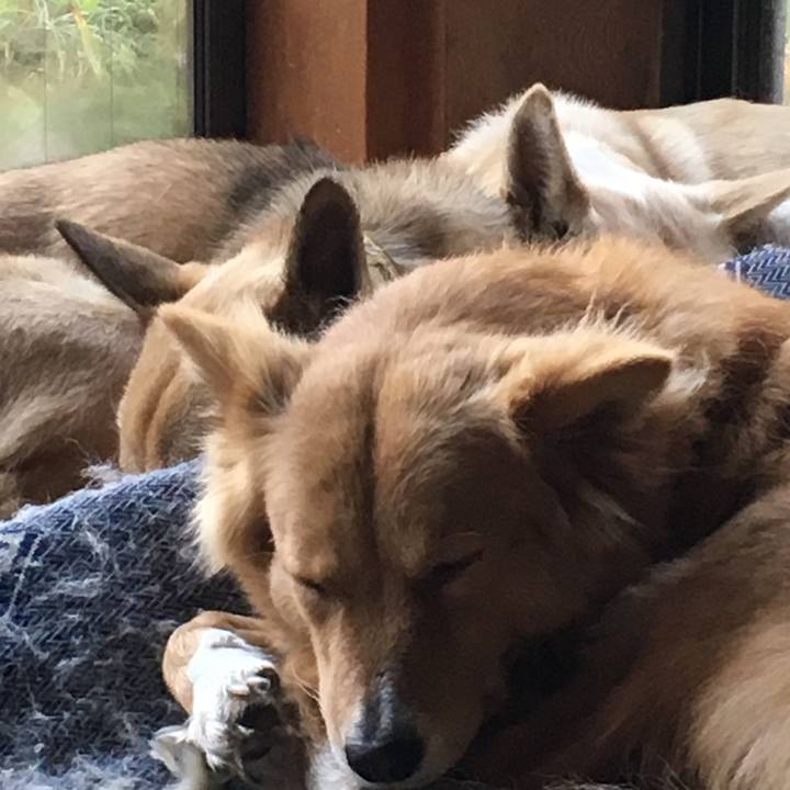 684f0fa0 96f5 4969 94eb 21e25f6f9797