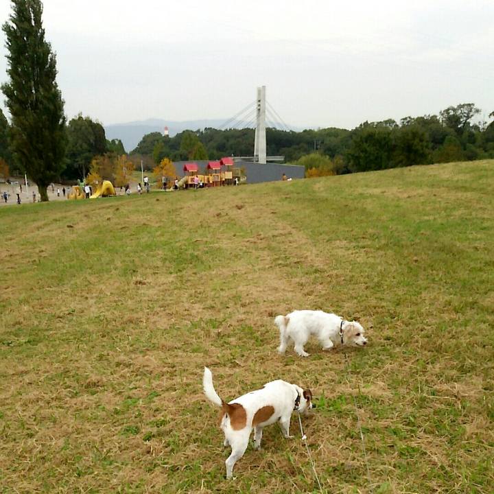 684f57ab 002f 4254 bcbd 74d5b4a77473