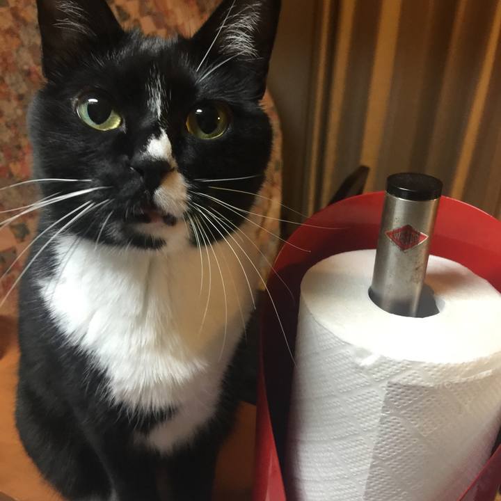 684f5dac 70b3 46a6 beb4 12481f36889a