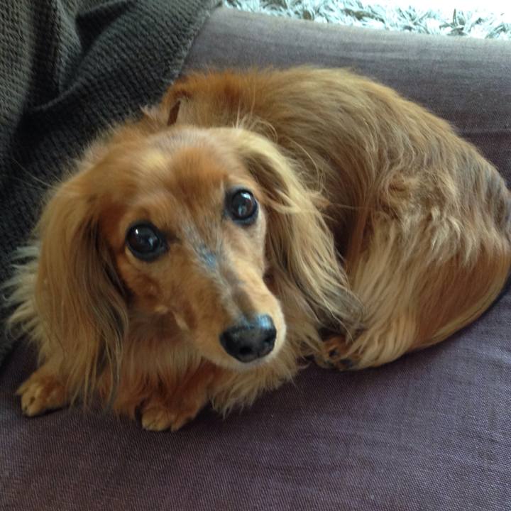 684faad7 75ce 4831 b22c 2aea1b9ff7f5