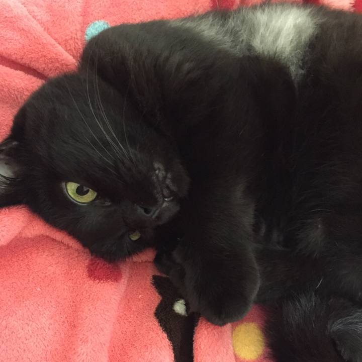 6851a2f6 92f9 4ab0 9952 a4da797833de