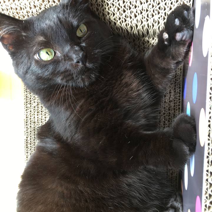 6851bcc8 8e23 4a7d a0ae dcab3dc2e4c9