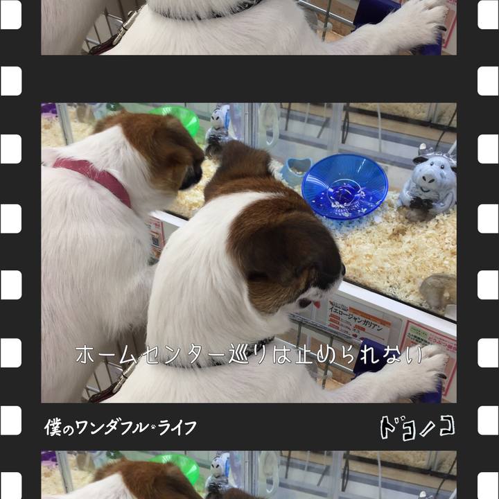 6851c73a df72 4ef6 bc8f ac47b7380ddd