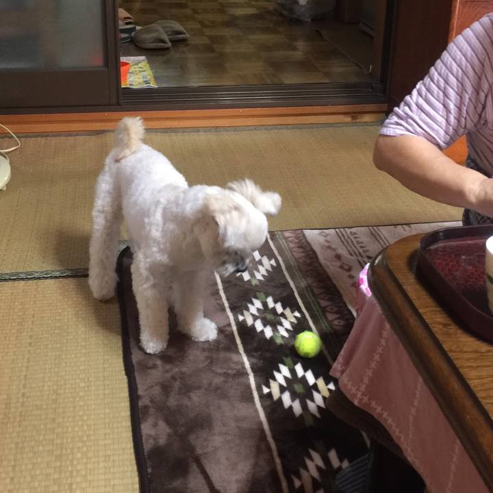 6851d843 bc97 4924 b89c 66ad23296cda