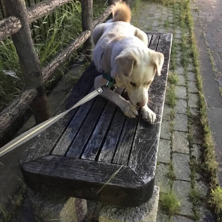 68524798 29f2 46de a8a8 de22c324c695