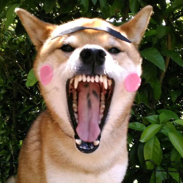 6852a389 0871 4d5f 826a 2ab3d9f2faec