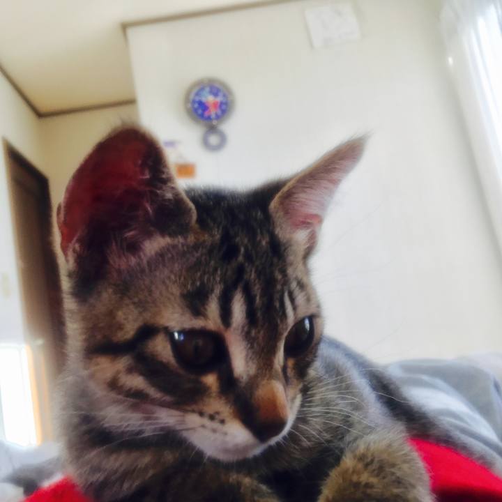 6854a233 7c13 4c78 bacb 9e20e7ed8aad