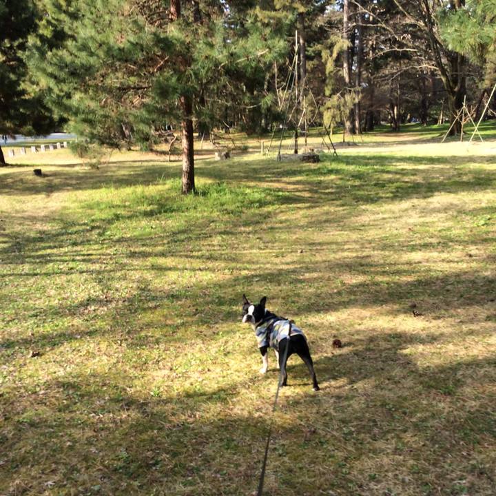 6855caa0 6bba 41f9 bc3a 1bab06789d4a