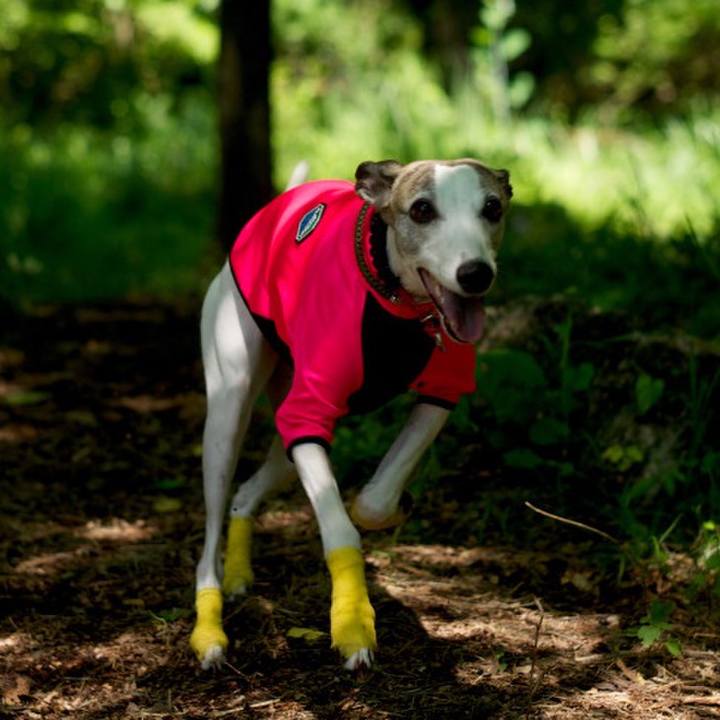 6855f7f5 987d 46d6 a2e2 7bc56eccd2f1