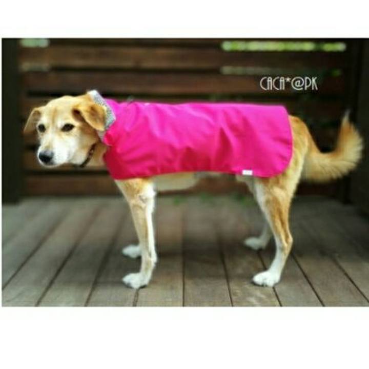 68569ed3 4c0c 45ae a240 46a7821ccfe5