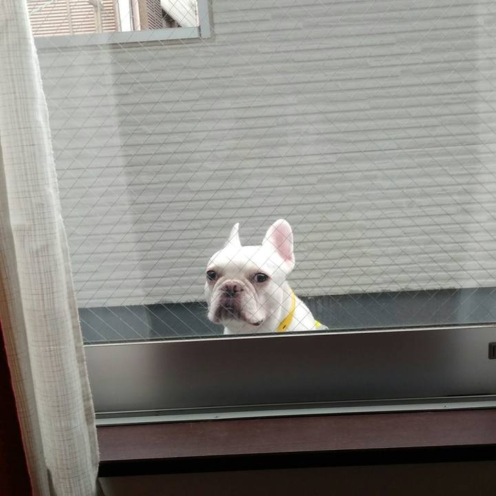 68578760 263c 4d96 ba4f 5adc3211e52c