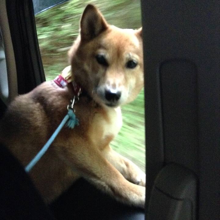 68579bf4 7e9b 49e3 bfe0 a2d67f628088