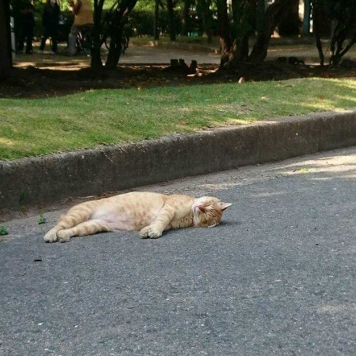 6857a0bf c122 4e6b a4fc 75b5477f0e56