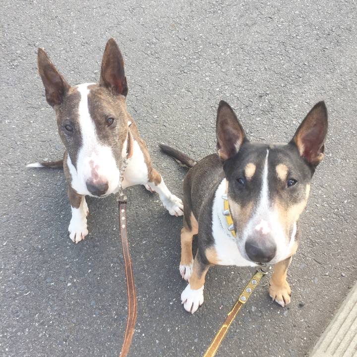 6857aea5 08f9 4248 af03 020cc9fd3b72