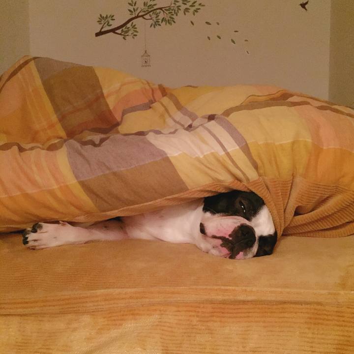 6857cf22 02b0 4d50 b512 85c5118608c0