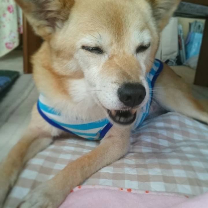 68582c70 dc36 4138 9844 cc21d84a2dd4