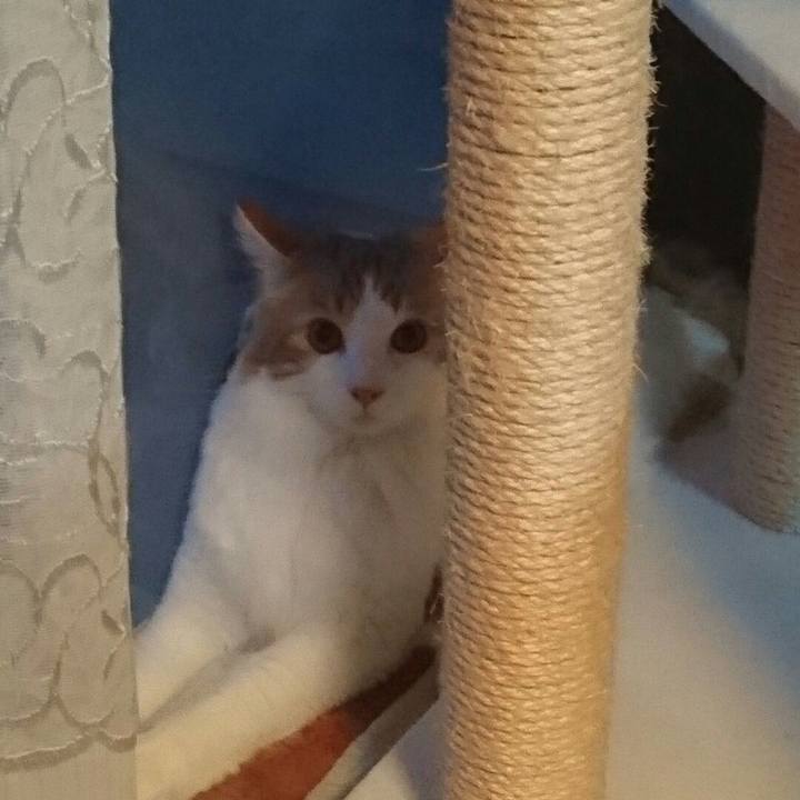 6858fde3 3894 4a73 a1b0 d1bf157e90c4