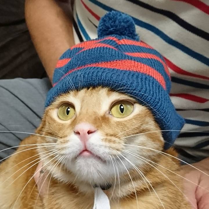 685933d2 3403 4c7b a515 d5406b2b90c9