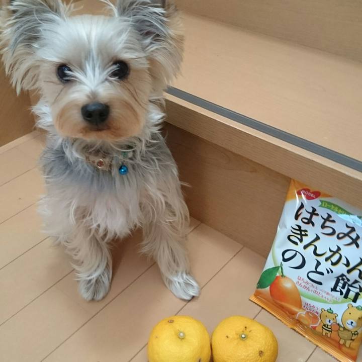 68596069 e172 46d7 8c93 5eb2eb6af3cd