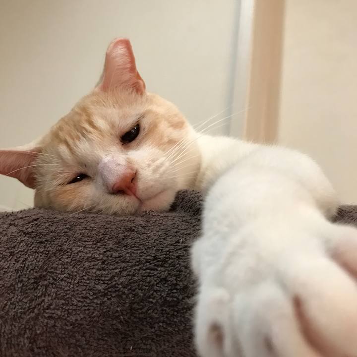 685a0b8e 3ea1 4888 837a 48685df5968f