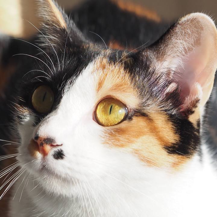 685a3b6c c393 4967 bc34 e9cb845c4b61