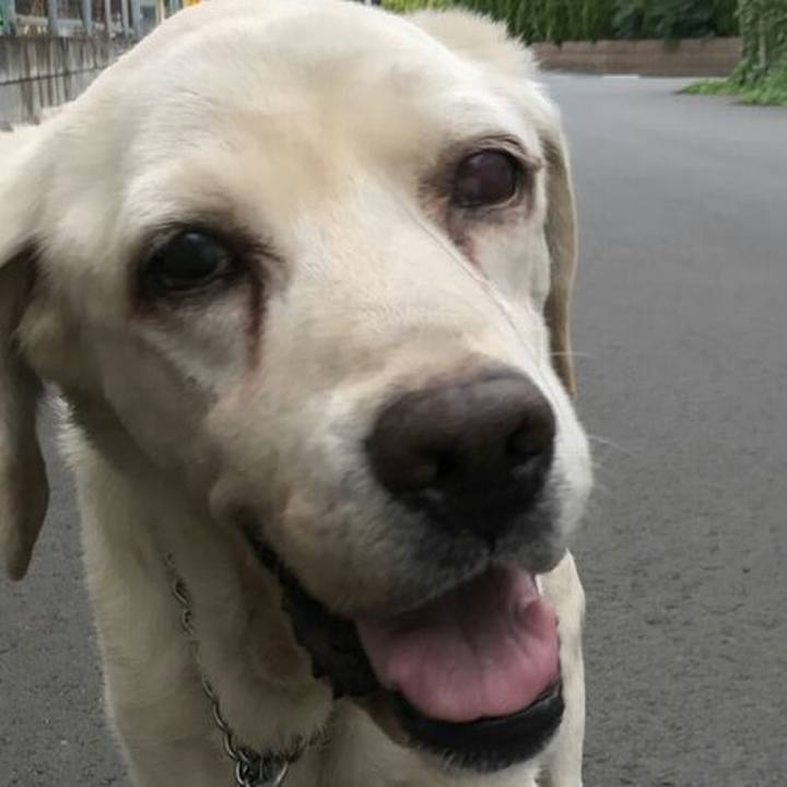 685a5fbc 8c53 489e b24c 3a4ca63010a6