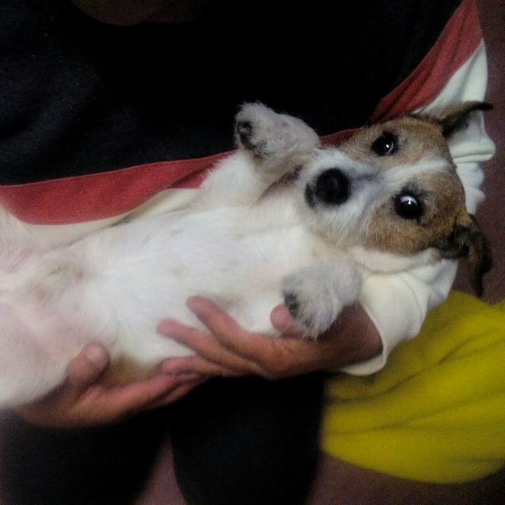 685a9202 e66a 48bd 9b73 d403bf4ad72a