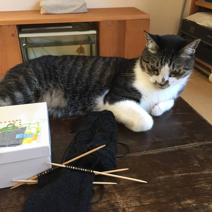 685aae41 ad9c 4746 bcb7 8e236009eaa4