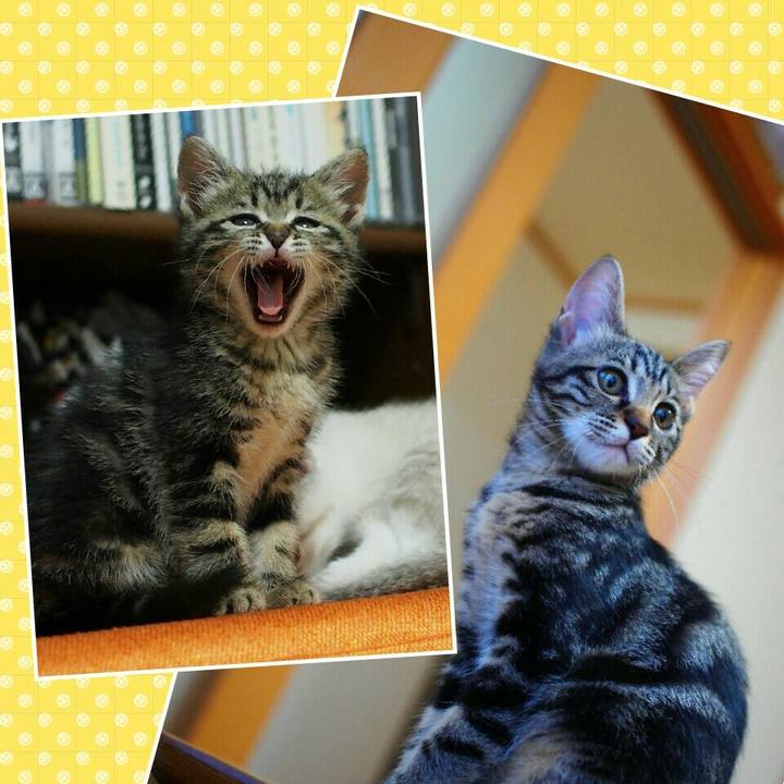 685ac59c 49b0 4ea2 bc03 c39f09c84079