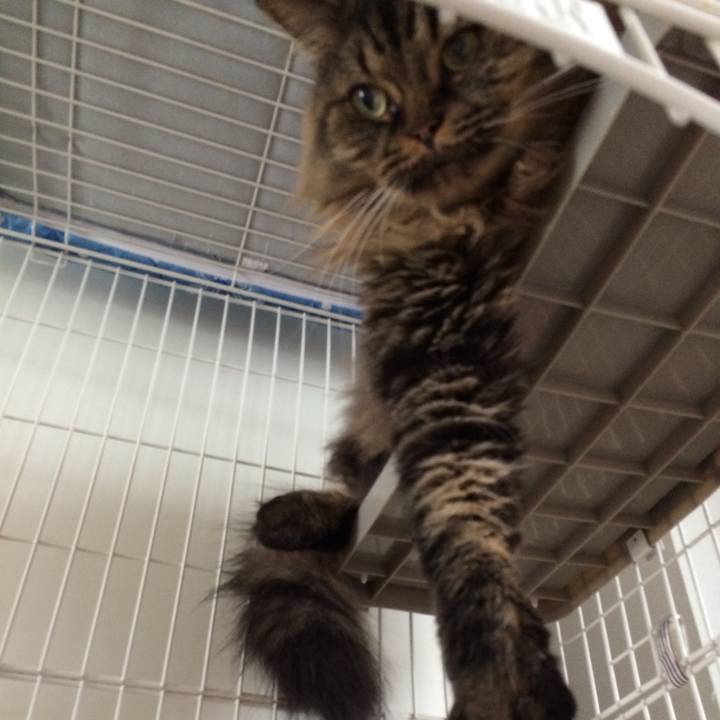 685bcdd5 940a 4bfe a8e0 7631c0649a98