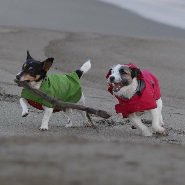 685caa27 f162 457e 8271 cd59d0b2c486