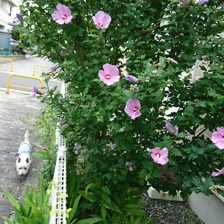 685cd6c3 124a 4bf3 8323 68699491d97e