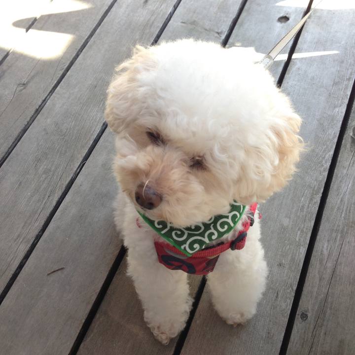 685d30f3 0e33 4aae 9074 20b78cadce82