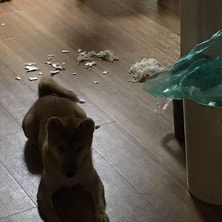 685d7026 7a84 4004 9c63 6ff3720e4ae5