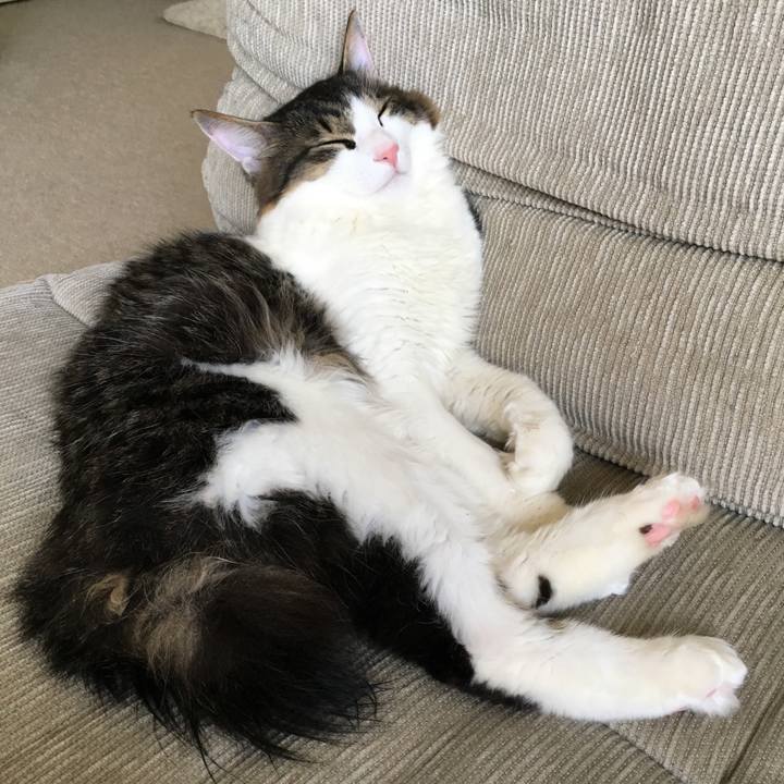 685d9f4c 0b58 46c6 afae 7a8a22720b7d