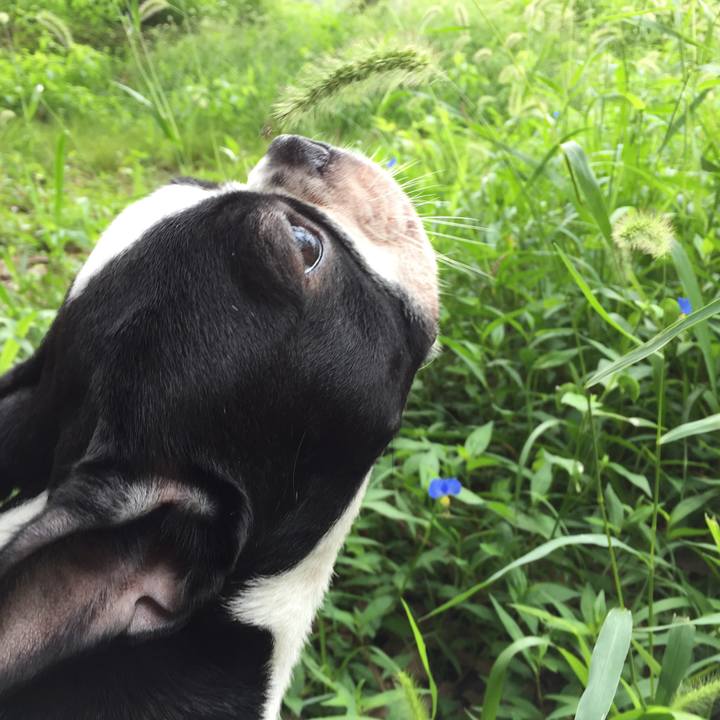 685e0cfc 62ef 452a a030 d1ced5a117ae