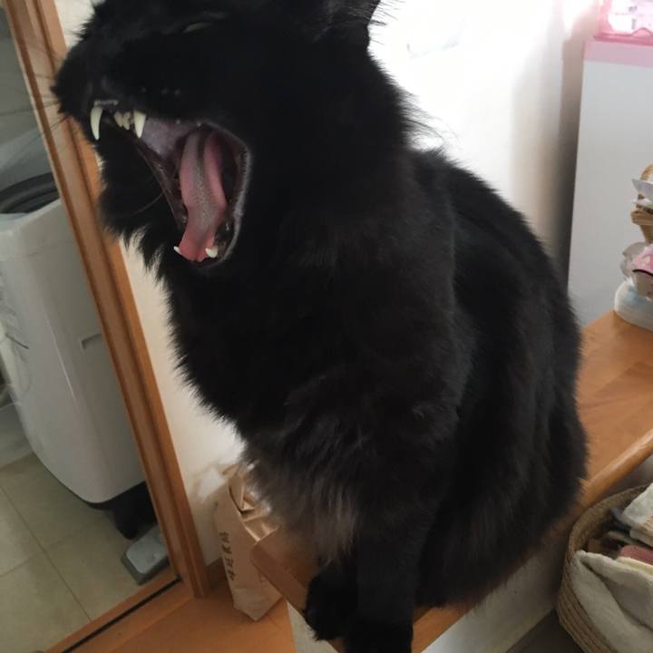 685e399c 7394 4f1e b294 b0ab1a06ba4d