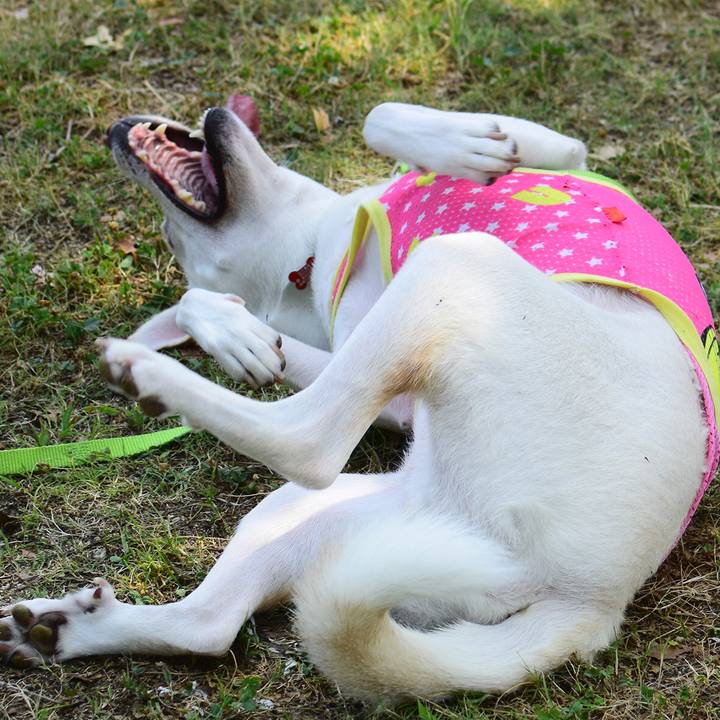 685eddcb 01c7 4d32 9d72 dcad605ab667