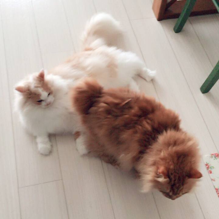 685f136a 49d7 45c9 9b06 fe8de3d9502d