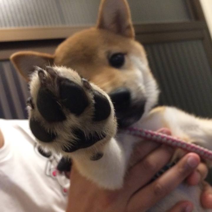 685f3eca a2af 46dc 9f4d e5626e9ff4a3